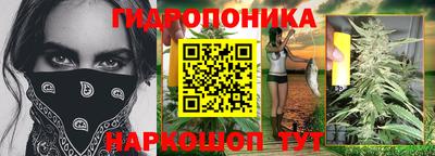 прущие грибы Баксан