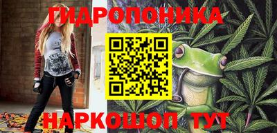 прущие грибы Баксан