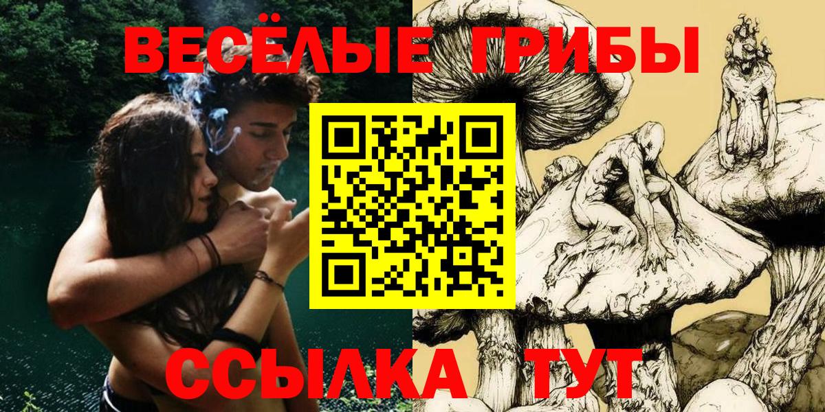 Псилоцибиновые грибы Cubensis Большой Камень
