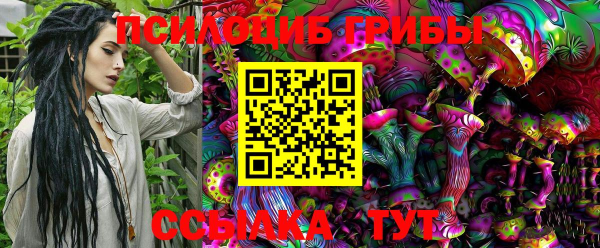 Большой Камень  Галлюциногенные грибы MAGIC MUSHROOMS  купить   Вход с VPN 